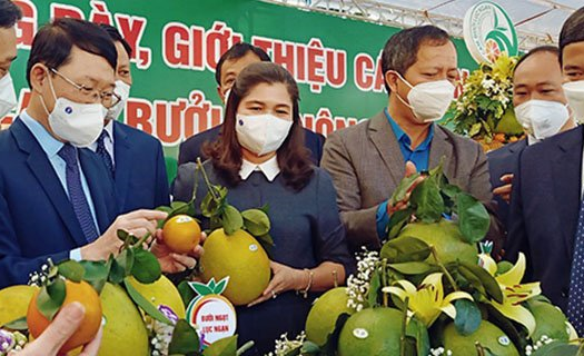 Ký kết gần 60 biên bản ghi nhớ thu mua nông sản đặc sản Bắc Giang